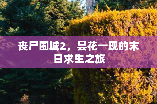 昙花一现的末日求生之旅图片