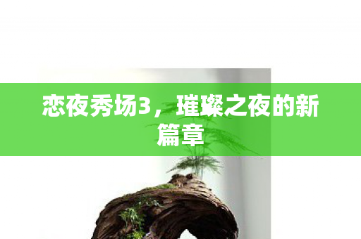 璀璨之夜的新篇章图片