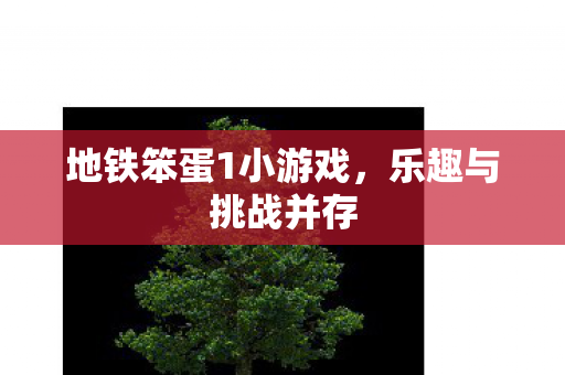 地铁笨蛋1小游戏图片