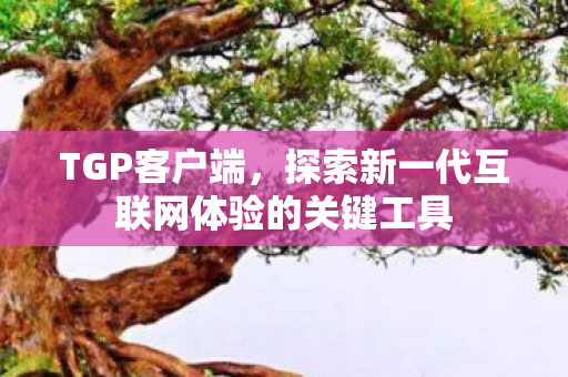 探索新一代互联网体验的关键工具图片