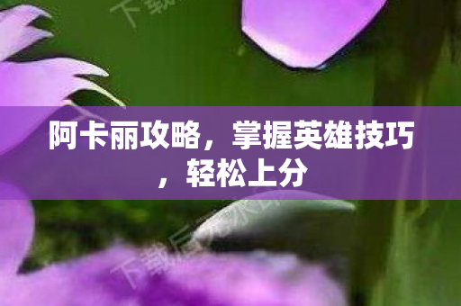 掌握英雄技巧图片