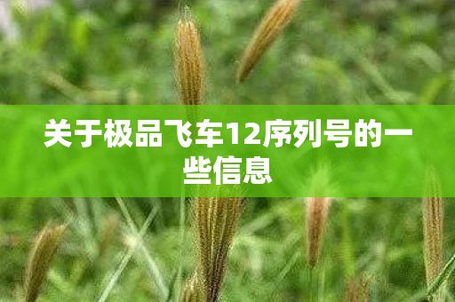 关于极品飞车12序列号的一些信息图片