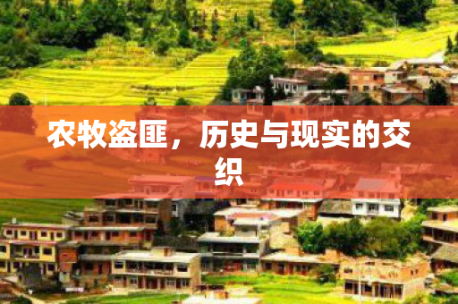 历史与现实的交织图片