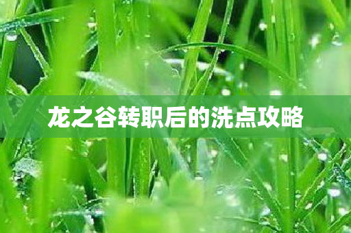 龙之谷转职后的洗点攻略图片