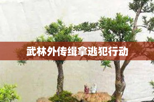 武林外传缉拿逃犯行动图片