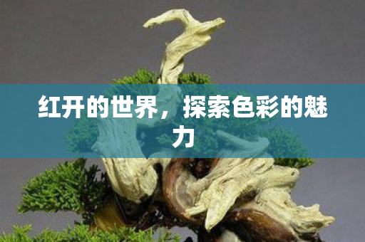 探索色彩的魅力图片
