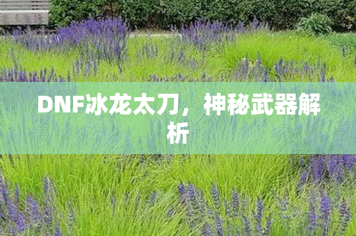 DNF冰龙太刀图片