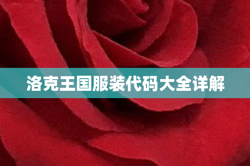 洛克王国服装代码大全详解图片