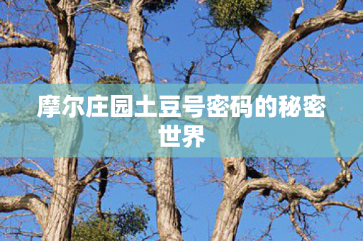 摩尔庄园土豆号密码的秘密世界图片