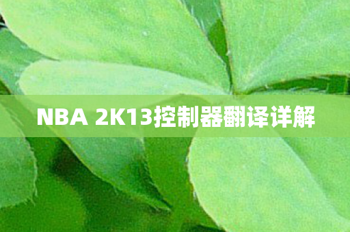NBA 2K13控制器翻译详解图片