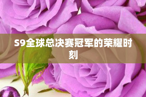 S9全球总决赛冠军的荣耀时刻图片