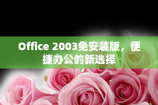 Office 2003免安装版图片