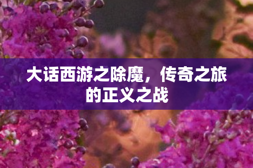 传奇之旅的正义之战图片