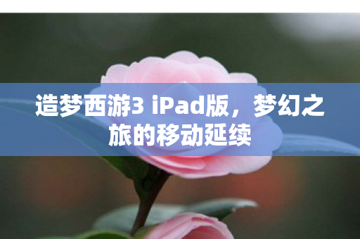 造梦西游3 iPad版图片