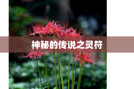 神秘的传说之灵符图片