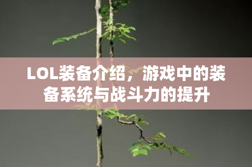 游戏中的装备系统与战斗力的提升图片