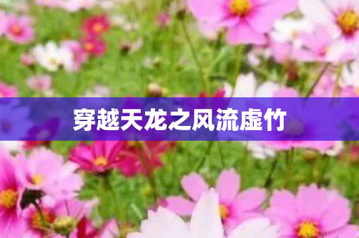穿越天龙之风流虚竹图片