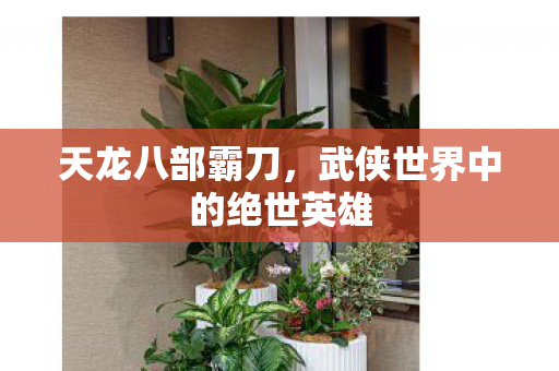 武侠世界中的绝世英雄图片