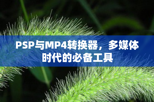 PSP与MP4转换器图片