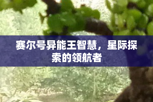 赛尔号异能王智慧图片