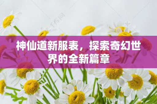 探索奇幻世界的全新篇章图片