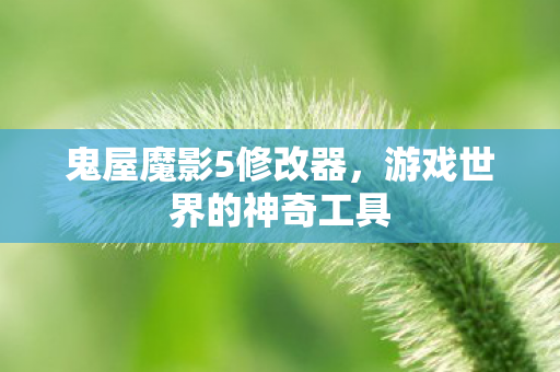 游戏世界的神奇工具图片