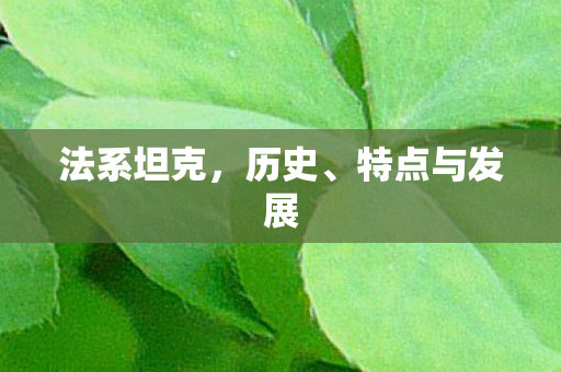 特点与发展图片