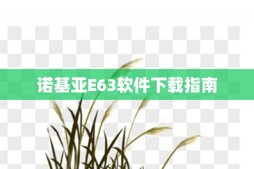 诺基亚E63软件下载指南图片