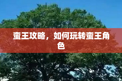 如何玩转蛮王角色图片