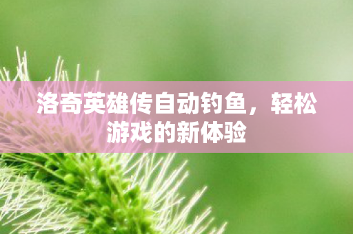 洛奇英雄传自动钓鱼图片