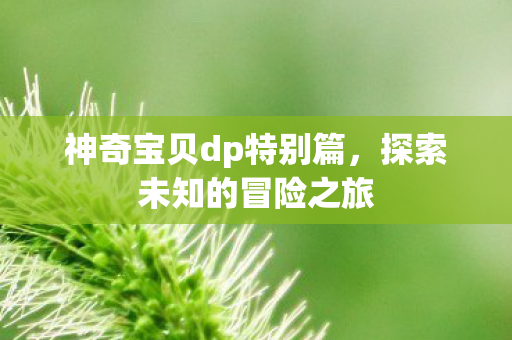 神奇宝贝dp特别篇图片
