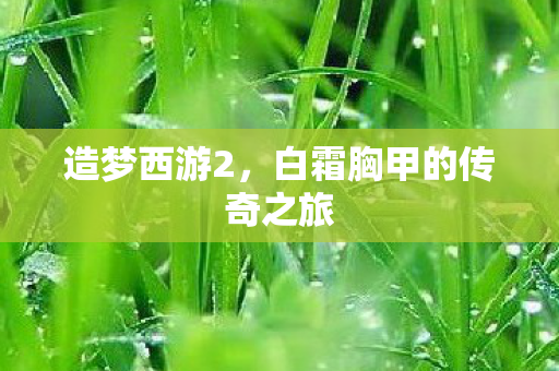 白霜胸甲的传奇之旅图片
