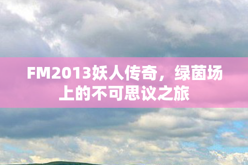 绿茵场上的不可思议之旅图片