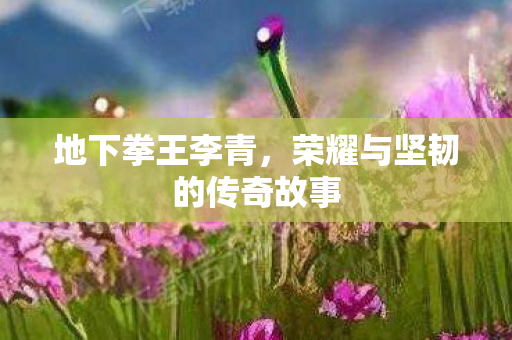 荣耀与坚韧的传奇故事图片