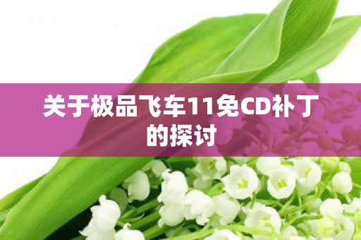 关于极品飞车11免CD补丁的探讨图片