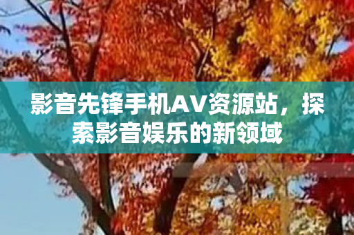 影音先锋手机AV资源站图片