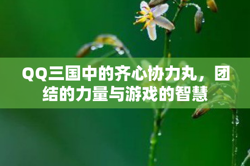 QQ三国中的齐心协力丸图片