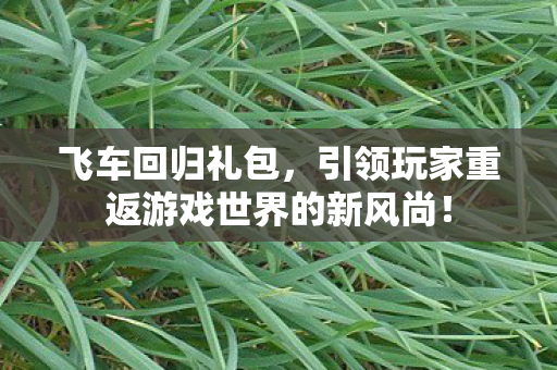 引领玩家重返游戏世界的新风尚图片