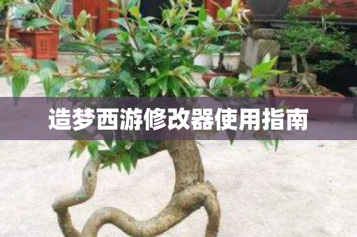 造梦西游修改器使用指南图片