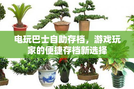 游戏玩家的便捷存档新选择图片