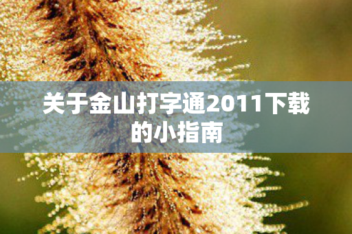 关于金山打字通2011下载的小指南图片