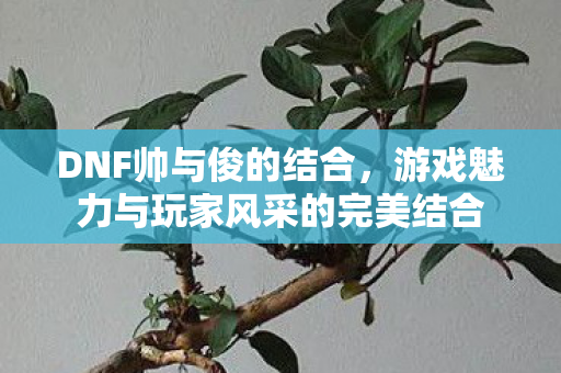 游戏魅力与玩家风采的完美结合图片