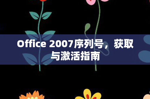 Office 2007序列号图片