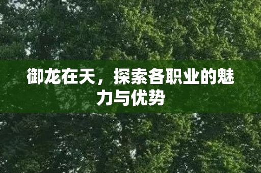 探索各职业的魅力与优势图片