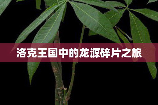洛克王国中的龙源碎片之旅图片