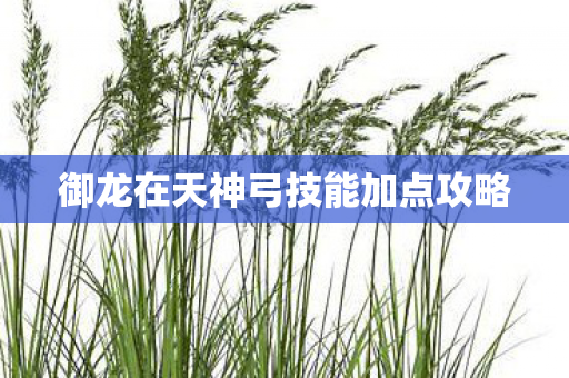御龙在天神弓技能加点攻略图片