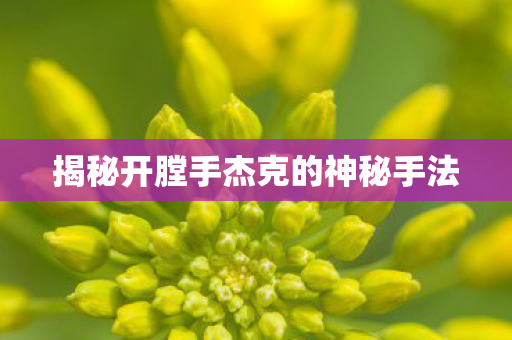 揭秘开膛手杰克的神秘手法图片