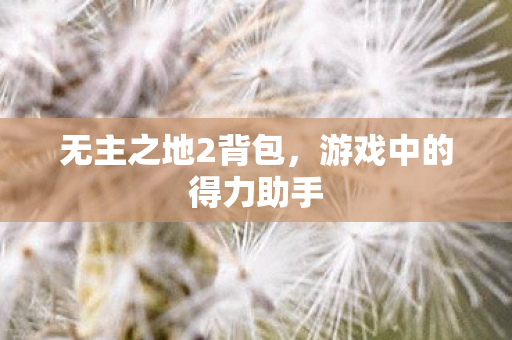 游戏中的得力助手图片