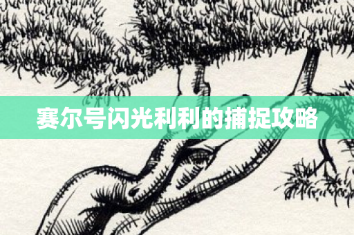赛尔号闪光利利的捕捉攻略图片