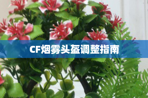 CF烟雾头盔调整指南图片
